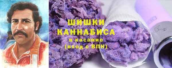 дурь Горняк