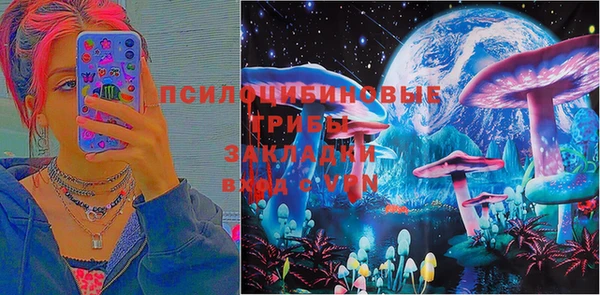 стафф Горнозаводск