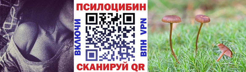 наркота  KRAKEN как войти  Галлюциногенные грибы GOLDEN TEACHER  Мезень 